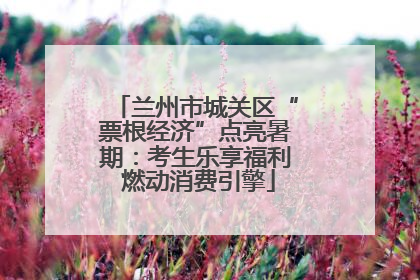 兰州市城关区“票根经济”点亮暑期：考生乐享福利 燃动消费引擎