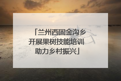 兰州西固金沟乡开展果树技能培训 助力乡村振兴