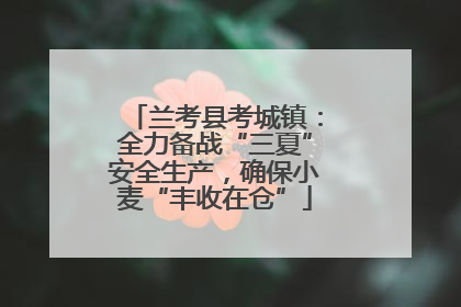 兰考县考城镇：全力备战“三夏”安全生产，确保小麦“丰收在仓”