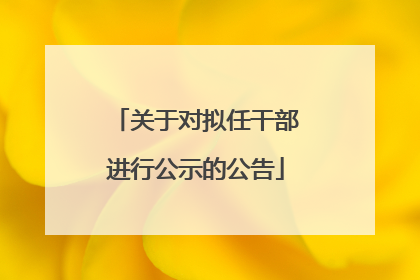 关于对拟任干部进行公示的公告