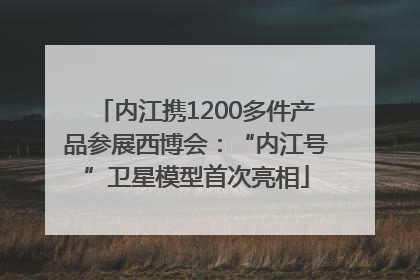 内江携1200多件产品参展西博会：“内江号”卫星模型首次亮相
