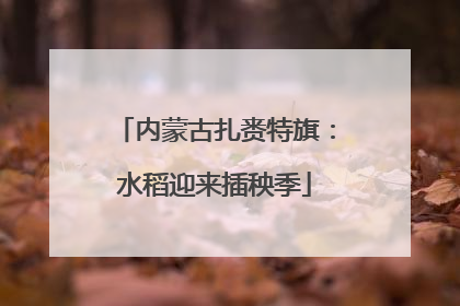 内蒙古扎赉特旗：水稻迎来插秧季