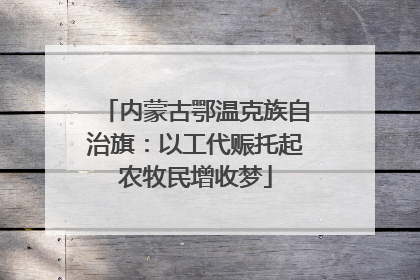 内蒙古鄂温克族自治旗：以工代赈托起农牧民增收梦
