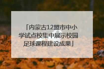 内蒙古12盟市中小学试点校集中展示校园足球课程建设成果