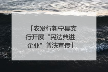 农发行新宁县支行开展“民法典进企业”普法宣传