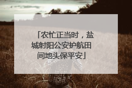 农忙正当时，盐城射阳公安护航田间地头保平安