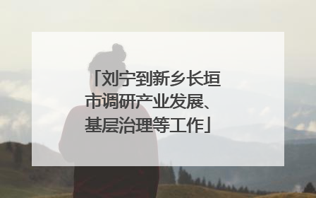 刘宁到新乡长垣市调研产业发展、基层治理等工作