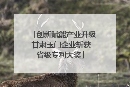 创新赋能产业升级 甘肃玉门企业斩获省级专利大奖