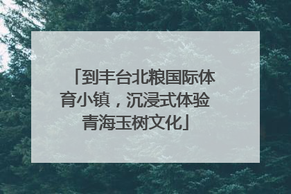 到丰台北粮国际体育小镇，沉浸式体验青海玉树文化