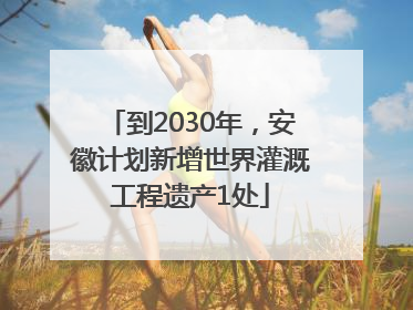 到2030年，安徽计划新增世界灌溉工程遗产1处