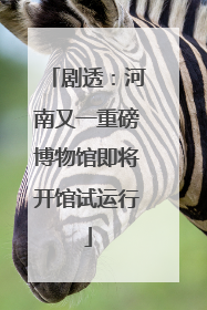 剧透：河南又一重磅博物馆即将开馆试运行