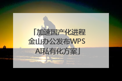 加速国产化进程 金山办公发布WPS AI私有化方案