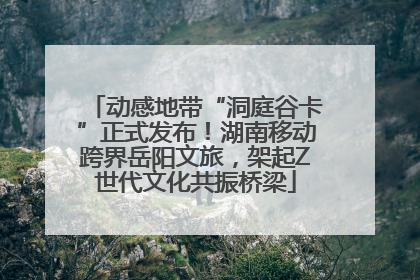动感地带“洞庭谷卡”正式发布！湖南移动跨界岳阳文旅，架起Z世代文化共振桥梁
