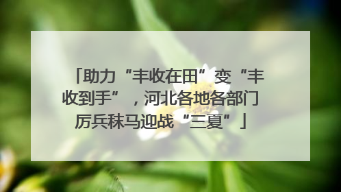 助力“丰收在田”变“丰收到手”，河北各地各部门厉兵秣马迎战“三夏”