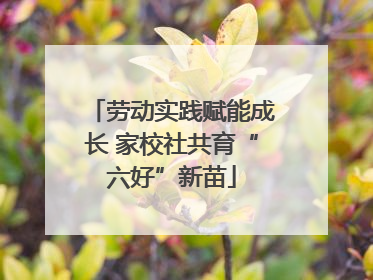 劳动实践赋能成长 家校社共育“六好”新苗
