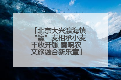 北京大兴瀛海镇“瀛”麦相承小麦丰收开镰 奏响农文旅融合新乐章