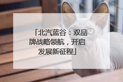 北汽蓝谷：双品牌战略领航，开启发展新征程