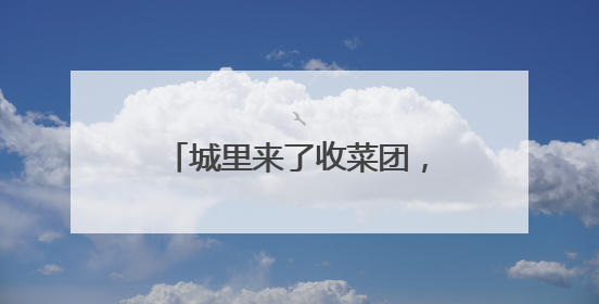 城里来了收菜团，我花三小时赶去山里串门，带回一群七旬村民的心愿