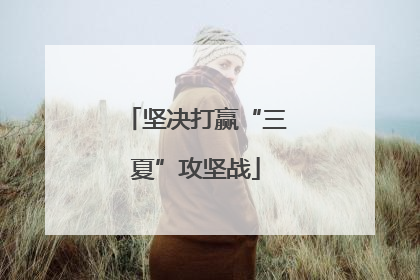 坚决打赢“三夏”攻坚战