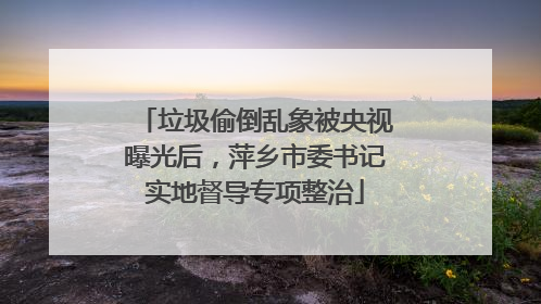 垃圾偷倒乱象被央视曝光后，萍乡市委书记实地督导专项整治