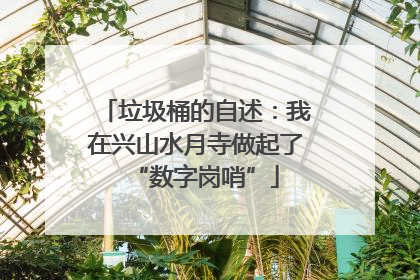 垃圾桶的自述：我在兴山水月寺做起了“数字岗哨”
