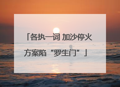 各执一词 加沙停火方案陷“罗生门”