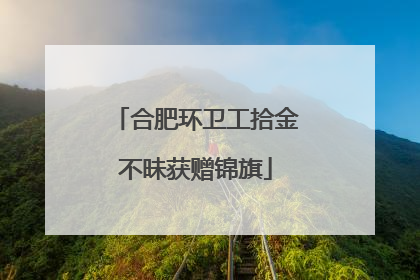 合肥环卫工拾金不昧获赠锦旗