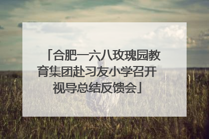 合肥一六八玫瑰园教育集团赴习友小学召开视导总结反馈会