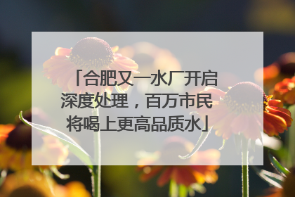 合肥又一水厂开启深度处理，百万市民将喝上更高品质水