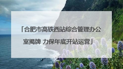 合肥市高铁西站综合管理办公室揭牌 力保年底开站运营