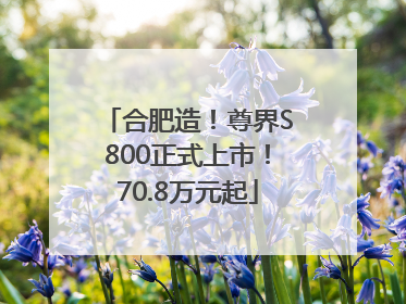合肥造！尊界S800正式上市！70.8万元起