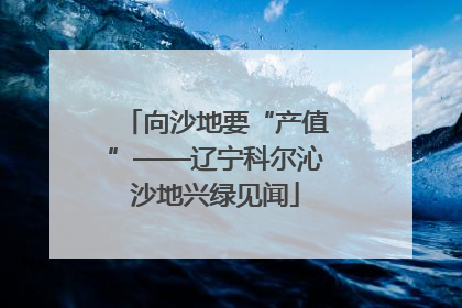 向沙地要“产值”——辽宁科尔沁沙地兴绿见闻
