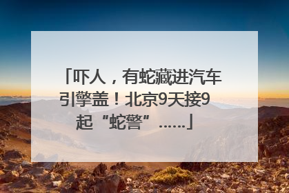 吓人，有蛇藏进汽车引擎盖！北京9天接9起“蛇警”……