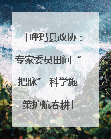 呼玛县政协：专家委员田间“把脉” 科学施策护航春耕
