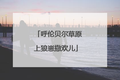 呼伦贝尔草原上狼崽撒欢儿