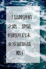 品牌进阶之路：袋鼠妈妈开启未来发展新战略