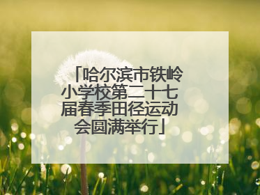 哈尔滨市铁岭小学校第二十七届春季田径运动会圆满举行