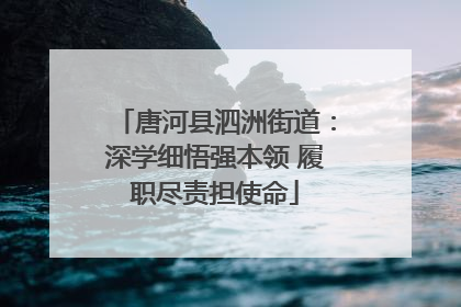 唐河县泗洲街道：深学细悟强本领 履职尽责担使命