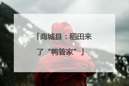 商城县：稻田来了“鸭管家”