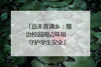 嘉禾普满乡：整治校园周边环境 守护学生安全