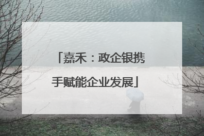 嘉禾：政企银携手赋能企业发展