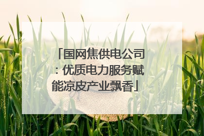 国网焦供电公司：优质电力服务赋能凉皮产业飘香