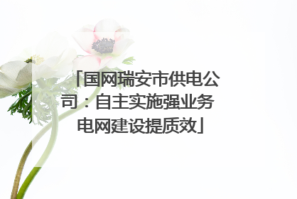 国网瑞安市供电公司：自主实施强业务 电网建设提质效