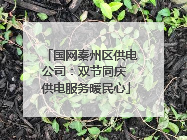 国网秦州区供电公司：双节同庆 供电服务暖民心