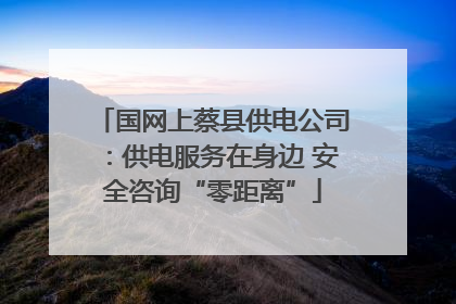 国网上蔡县供电公司：供电服务在身边 安全咨询“零距离”