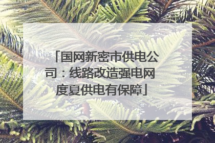 国网新密市供电公司：线路改造强电网 度夏供电有保障