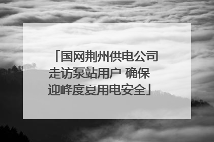 国网荆州供电公司走访泵站用户 确保迎峰度夏用电安全