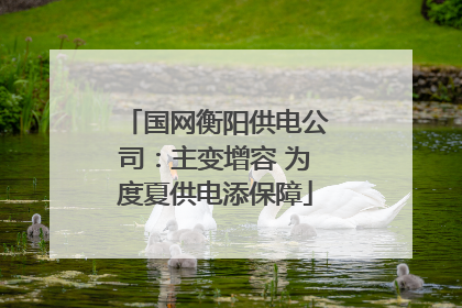 国网衡阳供电公司：主变增容 为度夏供电添保障