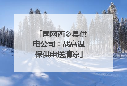 国网西乡县供电公司：战高温保供电送清凉