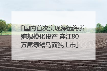 国内首次实现深远海养殖规模化投产 连江80万尾绿鳍马面鲀上市